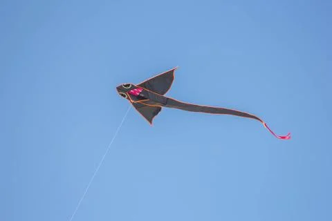 Flying kite in blue sky Stock Photos