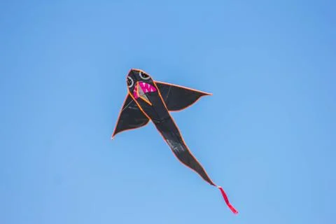 Flying kite in blue sky Stock Photos