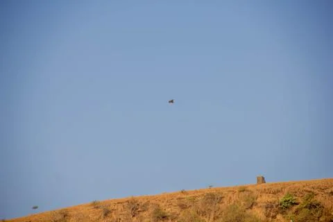 Flying kite in blue sky Stock Photos