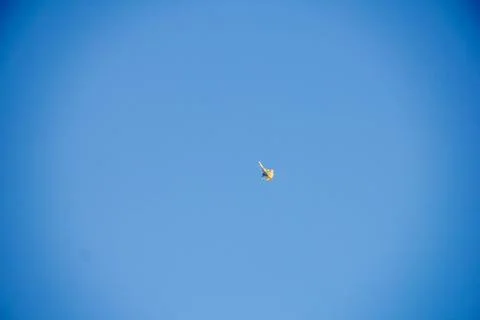 Flying kite in blue sky Stock Photos