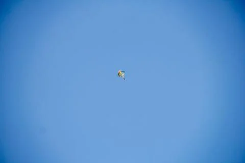 Flying kite in blue sky Stock Photos