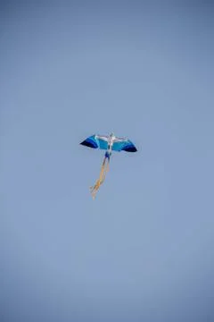 Flying kite in blue sky Stock Photos