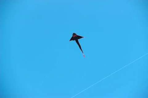 Flying kite in blue sky Stock Photos