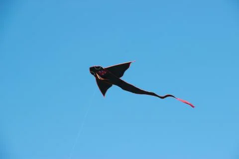 Flying kite in blue sky Stock Photos