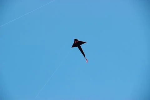 Flying kite in blue sky Stock Photos