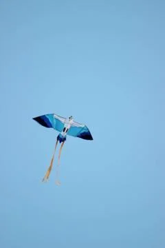 Flying kite in blue sky Stock Photos