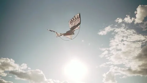 Flying a kite An eagle flies in the sky Bright rays of the sun A kite soars in Stock Footage 154734340