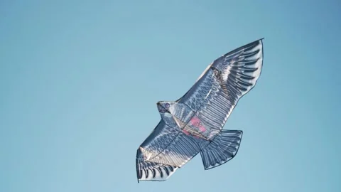 Flying a kite An eagle flies in the sky Bright rays of the sun A kite soars in Stock Footage 154747344