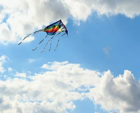 Flying kite 스톡 동영상 12178270