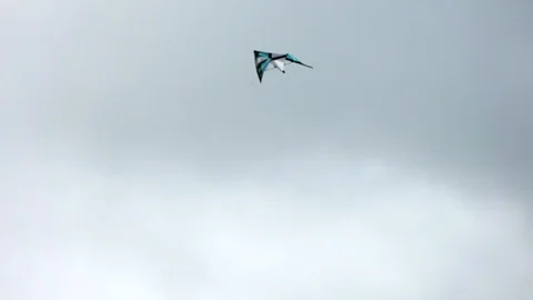 Flying a kite Stock Footage 94408301