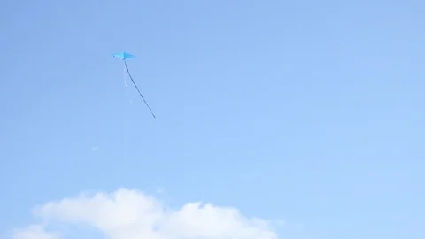 Flying kite Stock Footage 101869225