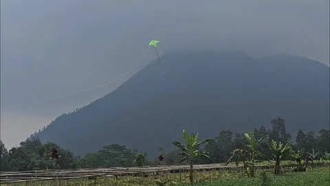 Flying kite with mountain background Stock Footage 248700968