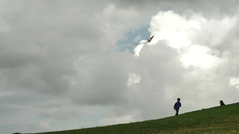 Flying kite over little boy and his dog in parkland slow motion 4K Video stock 241554194