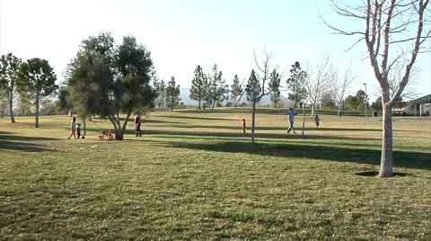 Flying a Kite at the Park Stockbeeldmateriaal 49314542