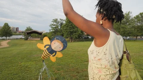 Flying a Kite in the Park Stock Footage 110714280