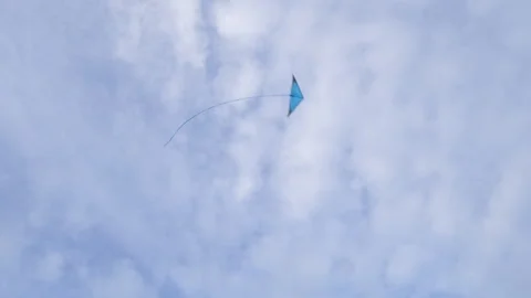 Flying Kite Pt1 of 1 Video stock 242037506