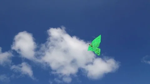 Flying kite in the sky Stock Footage 82202211