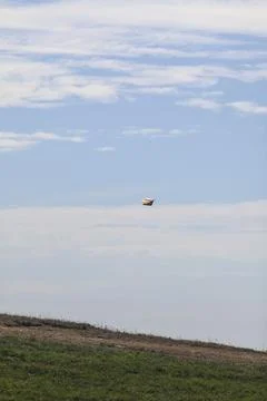 Flying kite in the sky Stock Photos