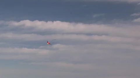 Flying Kites 스톡 동영상 770076