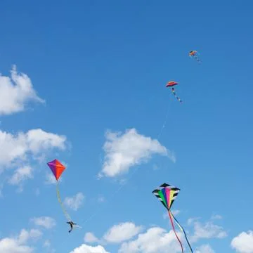 Flying kites Stock Photos