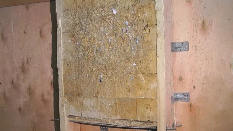 Flying knife. Man is throwing the knife. Tournament. Knife throwing Stock Footage 89286460