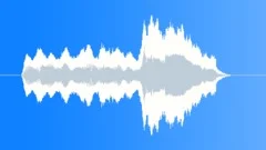 Flying Koala 1Stock Music