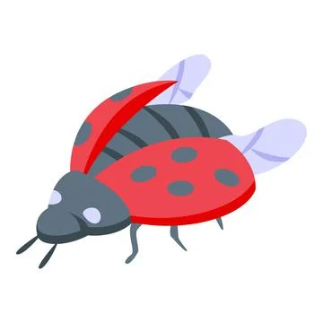 Flying ladybug icon isometric vector. Cute bug Stock Illustration