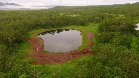 Flying Lake. The camera shoots from the top. The tops of the trees Stock Footage 72607653