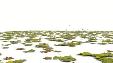 Flying leaf with alpha channel 動画素材 21999239