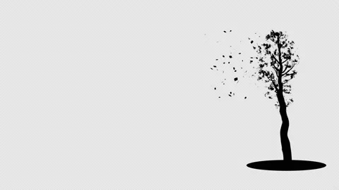 Flying Leaves 01 Stock Footage 211308809