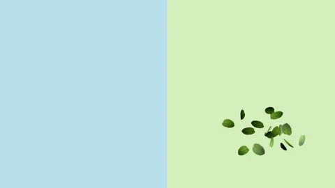 Flying Leaves 3D Animation. Stock Footage 129851781