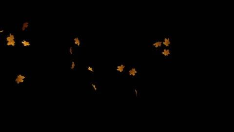 Flying Leaves background Stock Footage 100644415