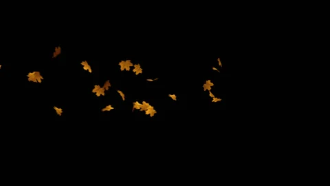 Flying Leaves background Stock Footage 100644419