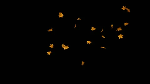 Flying Leaves background Stock Footage 100644432