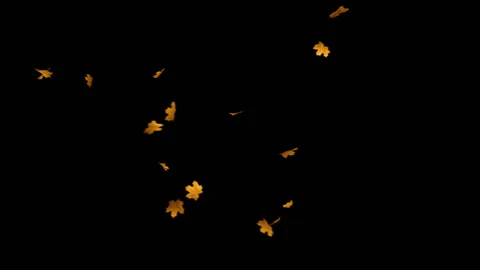 Flying Leaves background Stock Footage 100644435
