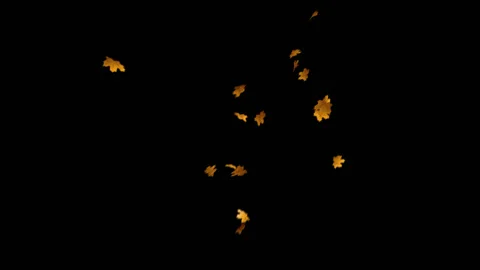 Flying Leaves background Stock Footage 100644447