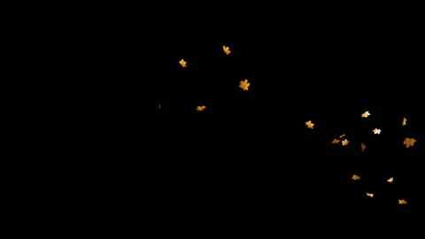 Flying Leaves background Stock Footage 100644453