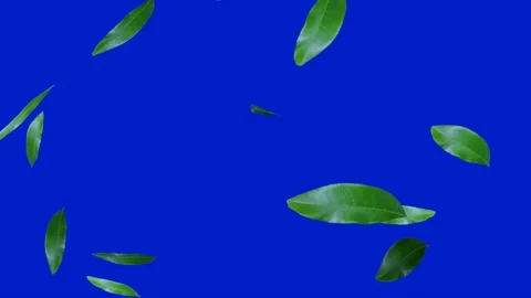 Flying leaves background Stock Footage 235767843