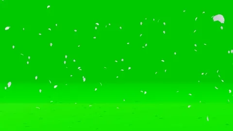 Flying leaves green screen, 4K video. Stock Footage 259604266