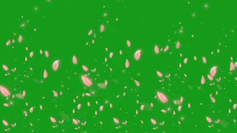 Flying leaves motion graphics with green screen background Stock Footage 193995680