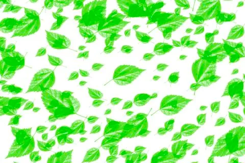 Flying leaves Stock Photos