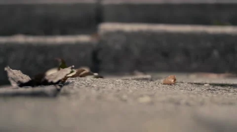 Flying Leaves on the Stairs Video stock 68193963