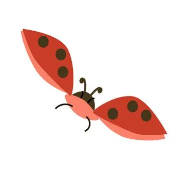 Flying ledybug cute view above in a flat style Stock Illustration