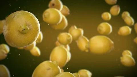 Flying Lemon Stock Footage 97941001
