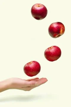 Flying levitating floating red ripe fresh juicy apples in air above female wo Stock Photos