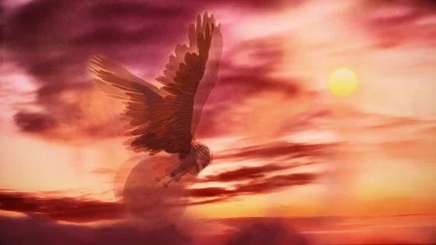 Flying light bulb in cloudy sky Video stock 219699293