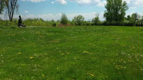 Flying low above the grass with yellow wild flowers, white clouds Stock Footage 164934718