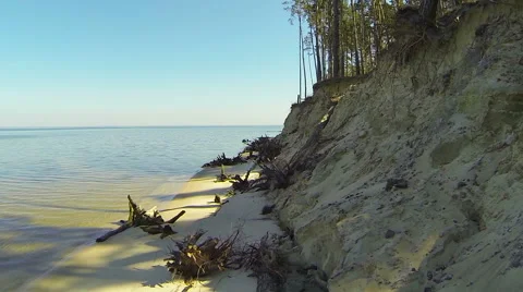 Flying low along the dead trees on the bank. Aerial view. Video stock 49165713