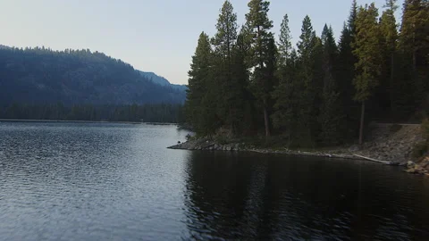 Flying low along the lake with trees against the sky Stock Footage 135952679