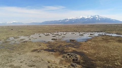 Flying low and slow over high desert scrub and ugly pond toward Mount Blanca Stock Footage 107613869